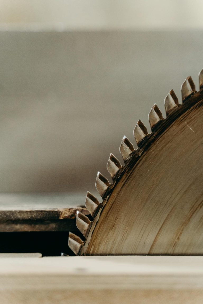 Detailed close-up shot of a sharp circular saw blade partly in motion.